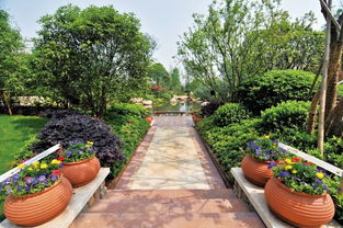 看慣了北方的生態粗線條 來感受下江南精品園林的畫風