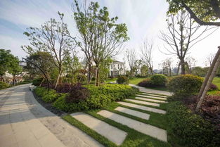 看慣了北方的生態(tài)粗線(xiàn)條 來(lái)感受下江南精品園林的畫(huà)風(fēng)