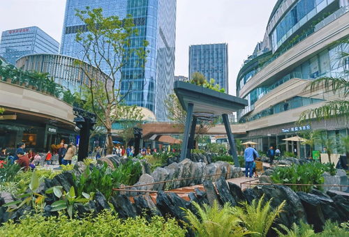 關注第十八屆重慶市市長國際經濟顧問團會議 重慶打造內陸開放綜合樞紐 市長顧問團企業如何助力