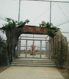 假樹大門報價 圖片 價格 報價 行情 今日價格,假樹大門報價 圖片 價格 報價 行情 今日價格生產(chǎn)廠家,假樹大門報價 圖片 價格 報價 行情 今日價格價格