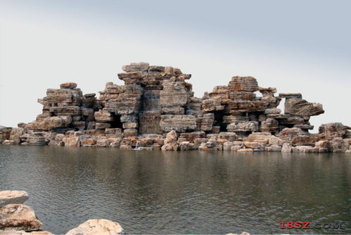 經濟學家張維迎吁堅信市場經濟 勿走向 共同貧窮