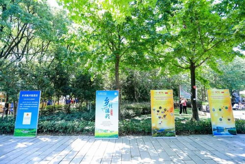 豐收世界畫豐收 金秋時節(jié)新米飄香,奉賢跨界農(nóng)產(chǎn)品增效又增收