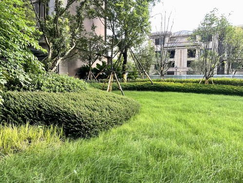 恒大精品園林獲業(yè)主好評